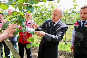 Kahverengi Kokarca ile m�cadele kapsam�nda 300 Bin Samuray ar�s� do�aya sal�nd�